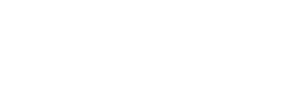 logoipsum depoimento